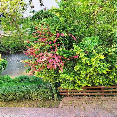 Alte Stadtmauer - Apartment Зинсхайм Экстерьер фото