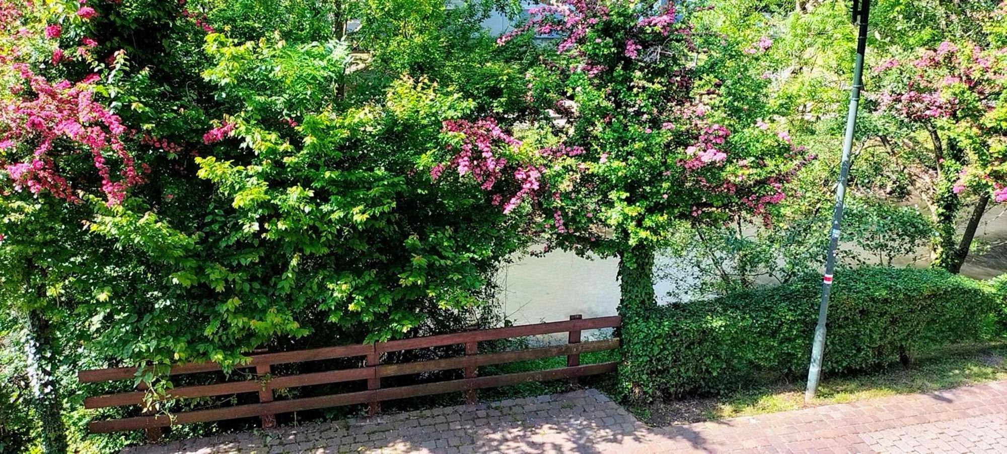 Alte Stadtmauer - Apartment Зинсхайм Экстерьер фото