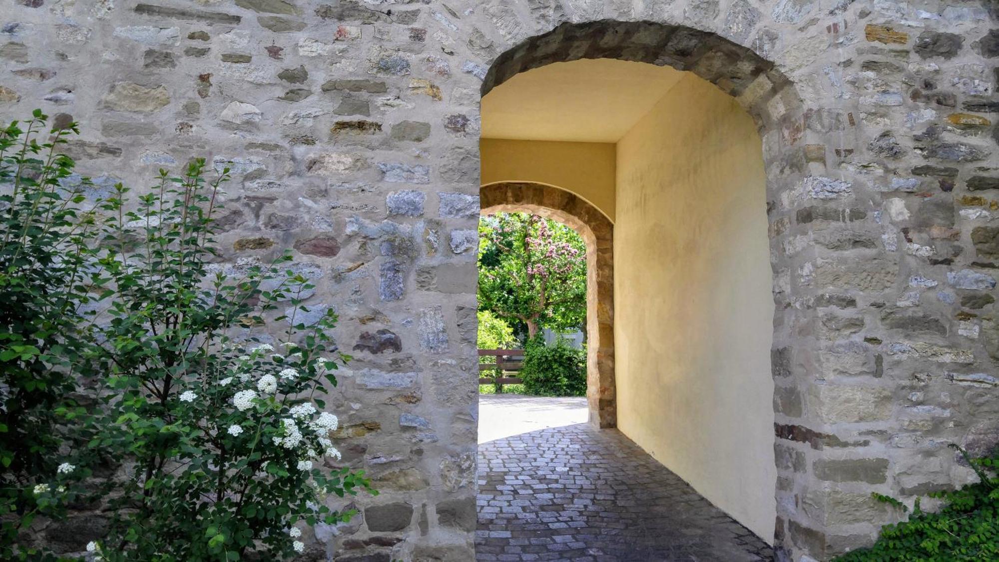 Alte Stadtmauer - Apartment Зинсхайм Экстерьер фото