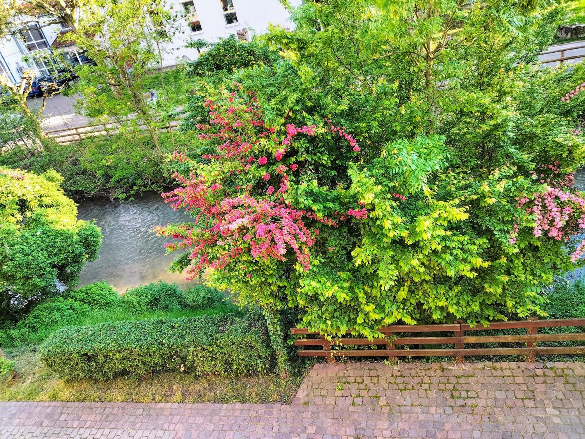 Alte Stadtmauer - Apartment Зинсхайм Экстерьер фото